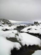 Nieve