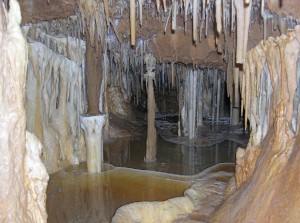 cueva de paño Grupo Espeleologico Merindades