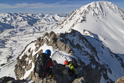 Cresta cimera
