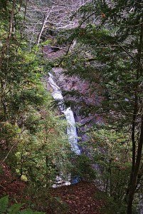 Cascada