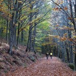 Otoño mágico Otoño mágico