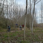 Por las riberas del Tormes, camino de Huerta Por las riberas del Tormes, camino de Huerta