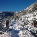 Camino de la Peña ...por Isma Camino de la Peña ...por Isma