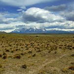 PN Torres del Paine