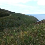 Pistas y mar...