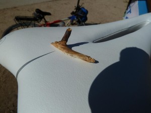 No solo los bocadillos eran grandes, también los pinchos.... (Foto cedida por Pepe)