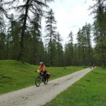 Un paraiso de bosques y praderas (por Pepe)