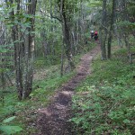 opción que nos interna en un bonito bosque con camino complicado (por Javi)