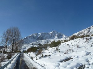 Cara Noreste Espigüete. Alrededores de Cardaño de Arriba (por Jaime)