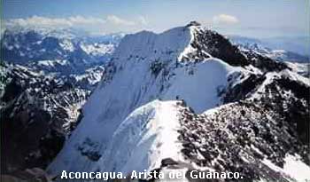 Arista del guanaco