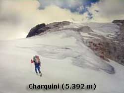Charquini (5392m)