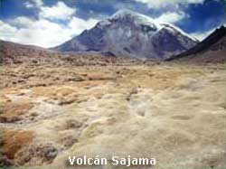 Volcán Sajama